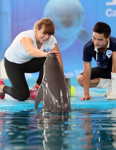 并在短周期 并在短周期