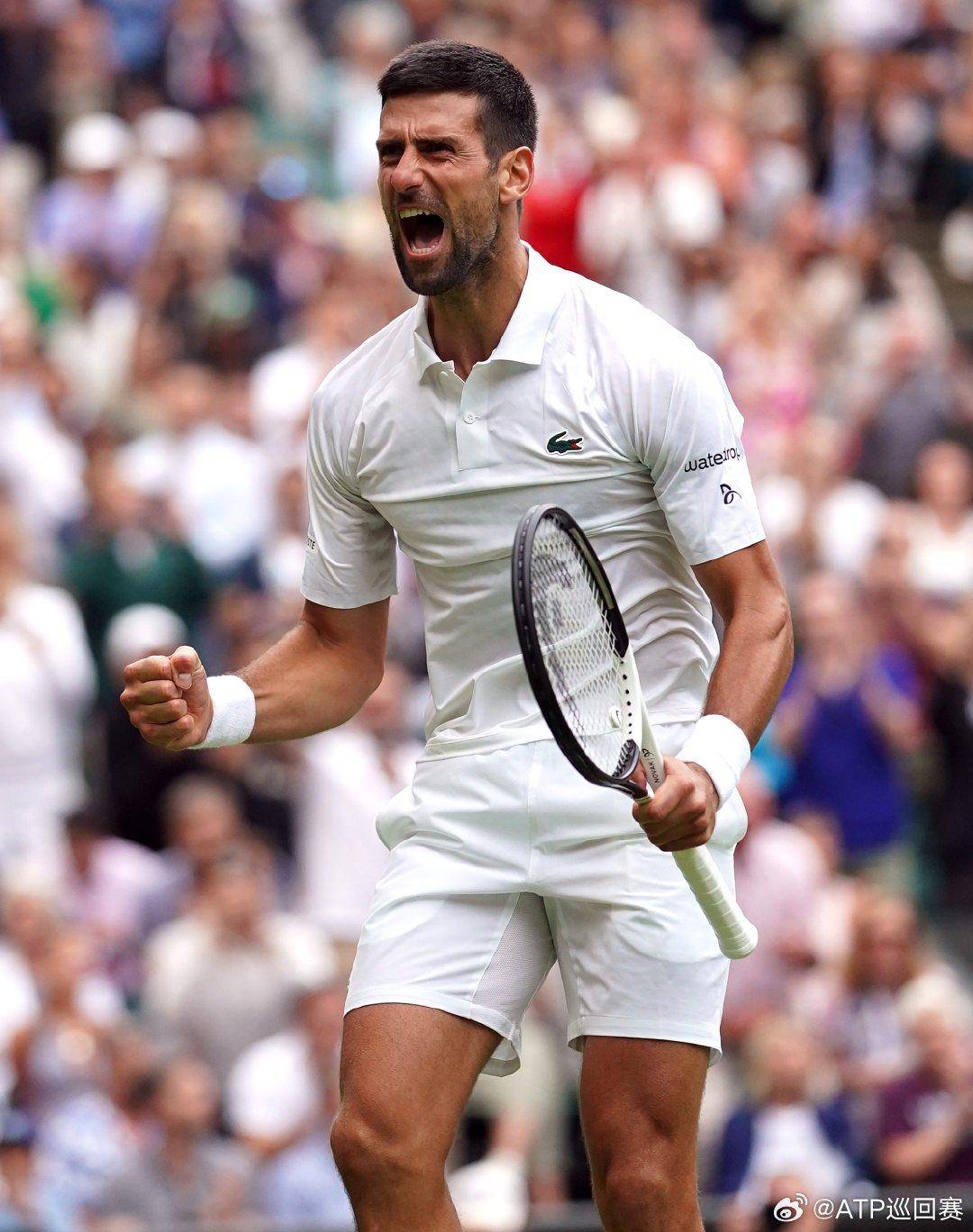 他们的默契 他们的默契